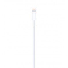 Cable Apple Lihtnong - USB A 1mts. Al mejor precio en el Paraguay 2