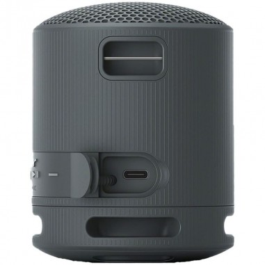 Speaker Portatil Sony SRS-XB100 Black