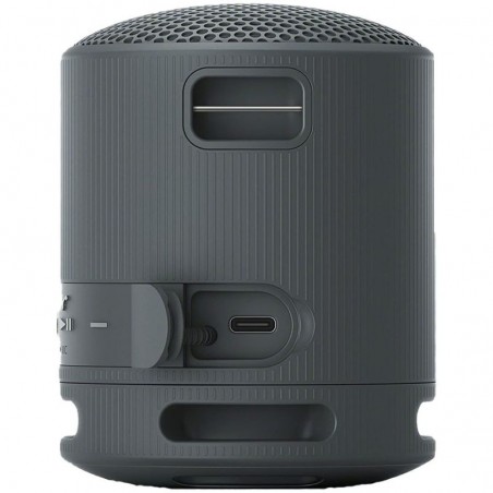 Speaker Portatil Sony SRS-XB100 Black
