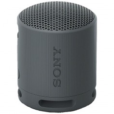 Speaker Portatil Sony SRS-XB100 Black