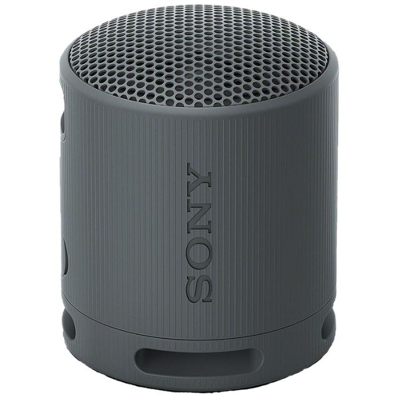 Speaker Portatil Sony SRS-XB100 Black