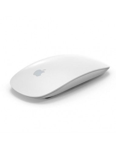 Mouse 2 Apple Magic Space gray al mejor precio en Paraguay Tienda Oficial