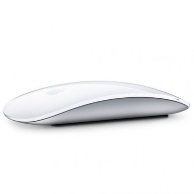 Mouse 2 Apple Magic Space gray al mejor precio en Paraguay Tienda Oficial
