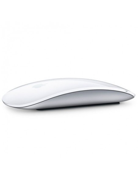 Mouse 2 Apple Magic Space gray al mejor precio en Paraguay Tienda Oficial